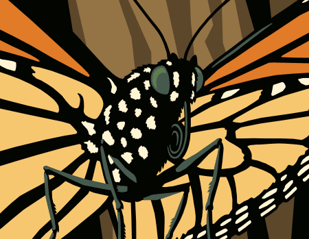 Monarch butterfly detail