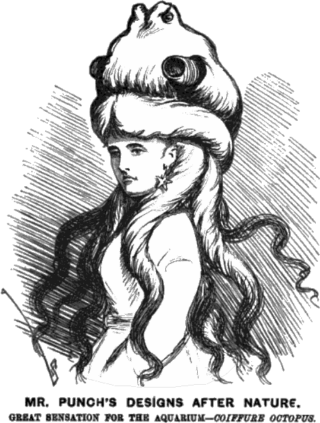 Mr. Punch's Designs After Nature. Great sensation for the aquarium -- Coiffure Octopus.