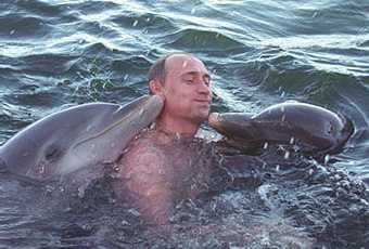 Putin and dolphins