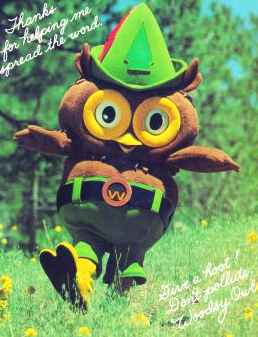 Classic Woodsy Owl