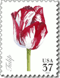 US tulip stamp (Scott #3902)