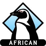 African penguin icon