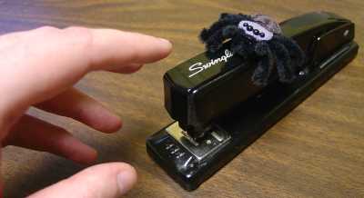 Spider Mini guarding black Swingline stapler